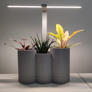 FLORA LED SMART BLOOM