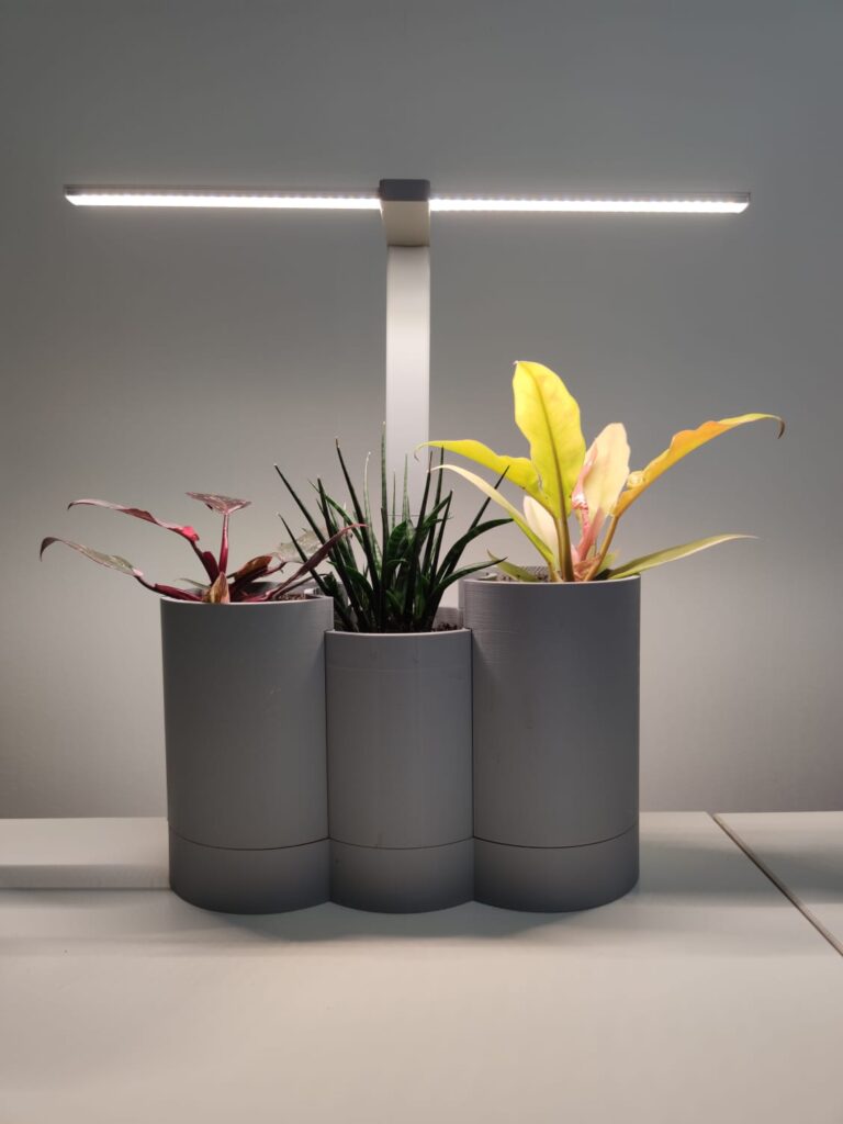 FLORA LED SMART BLOOM