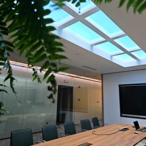 Skylight serie PT